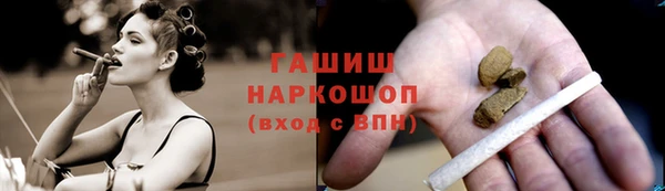 стаф Аркадак