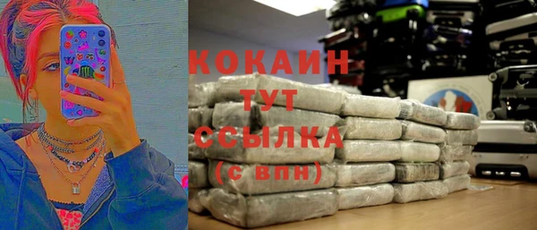 стаф Аркадак