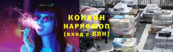 стаф Аркадак