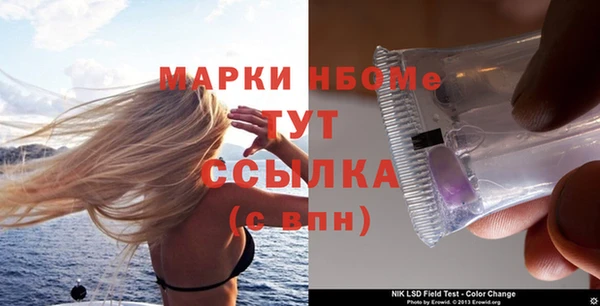стаф Аркадак