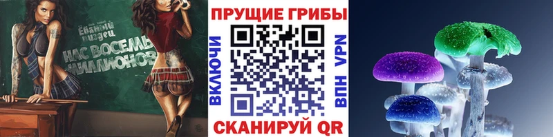 Псилоцибиновые грибы Cubensis  Кузнецк 